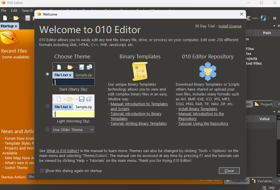 十六进制编辑器010Editor 运行截图1