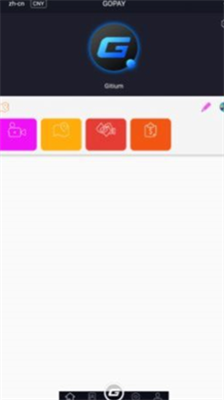 gopay支付平台安卓版下载_gopay支付平台手机版下载v2.6.5 运行截图3