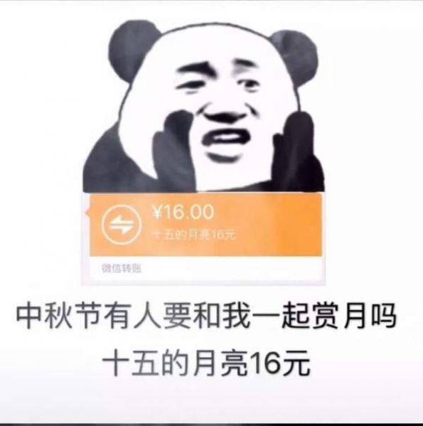 微信十五的月亮十六元是什么梗