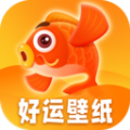 好运壁纸 v1.0.0