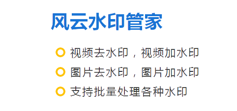 风云水印管家下载2024官方最新版_风云水印管家免费下载安装 运行截图1