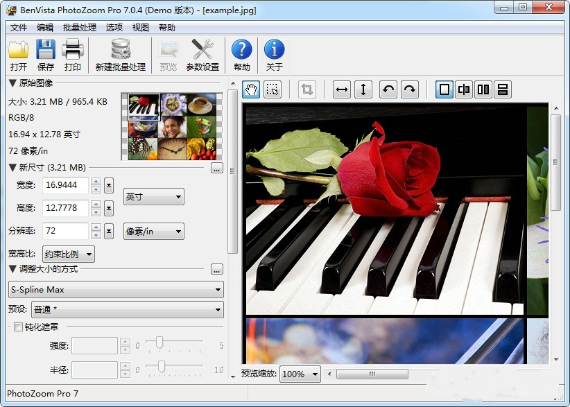 BenVista PhotoZoom Pro软件下载-BenVista PhotoZoom Pro电脑版下载安装v7.1.0 运行截图1