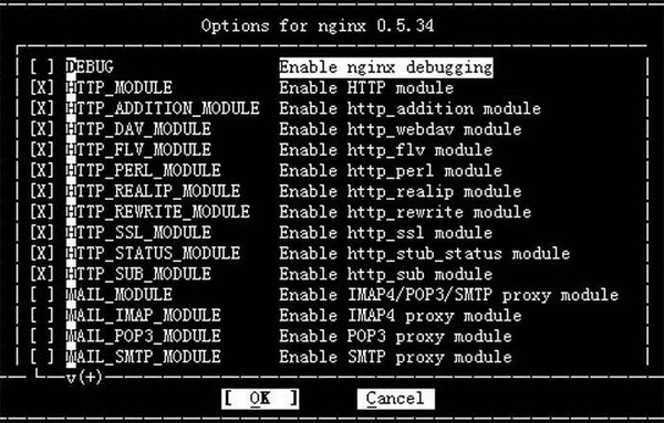 Nginx负载均衡下载-Nginx高性能Web服务器V1.21.3最新版下载 运行截图1