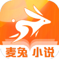 麦兔小说v3.4.6