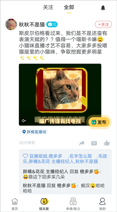 哈啰街猫最新版