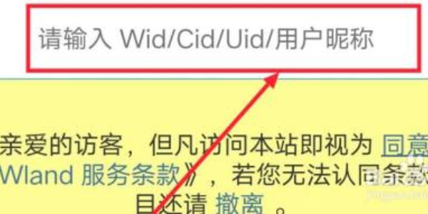 wland网站怎么进入