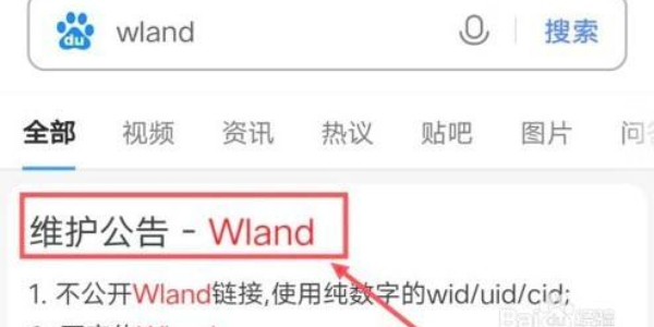 wland网站怎么进入