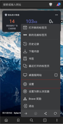 Brave浏览器手机版