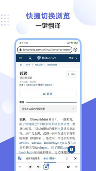 狐猴浏览器APP2.4版下载-狐猴浏览器2.4版最新apk下载v2.4 运行截图4