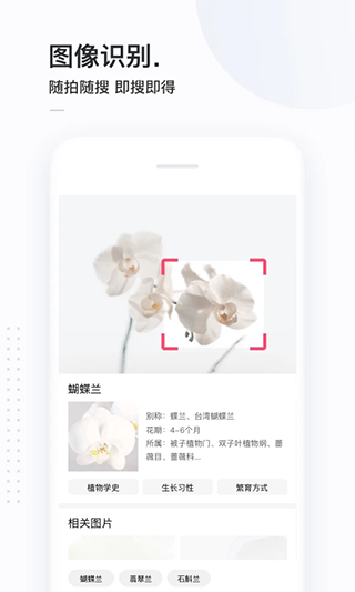 简单搜索APP下载-简单搜索安卓免费版下载v5.10.0.13 运行截图3