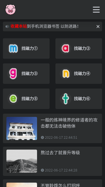 BT磁力猪APP最新版下载-BT磁力猪最新版apk下载v1.2.4 运行截图1